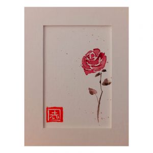 Rosa